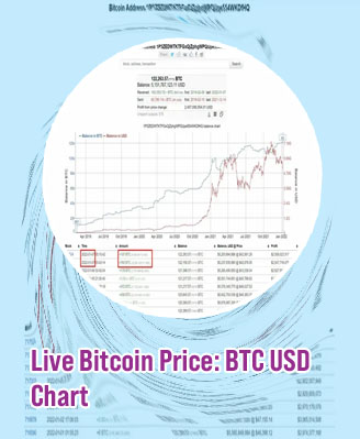 Btc to usde