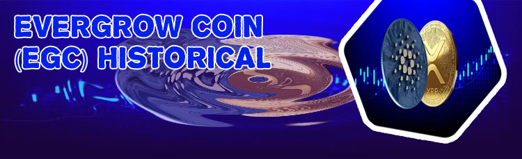 Current price of evergrow cryptocurrency