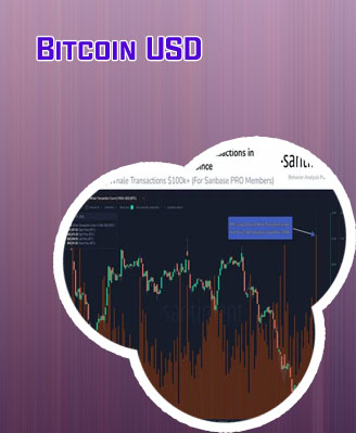 Inside bitcoin week