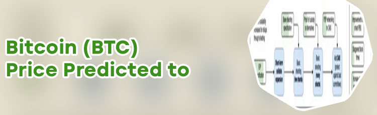 Surge crypto