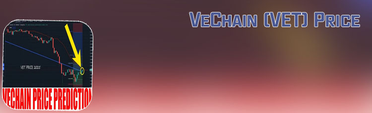 Vet crypto price