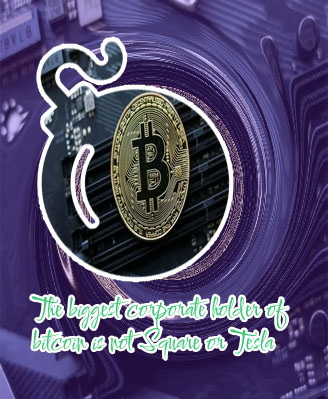 Who has the most bitcoin