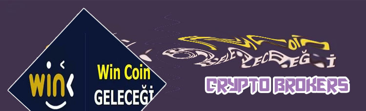 Wink crypto